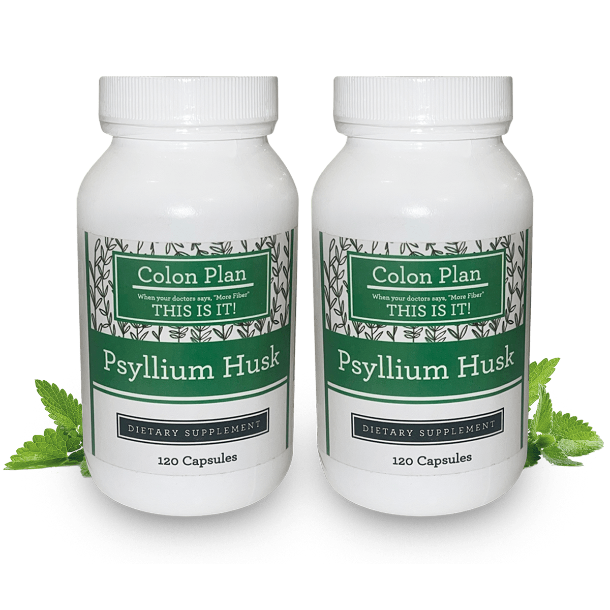 Colon Plan Dietary Fiber Supplement